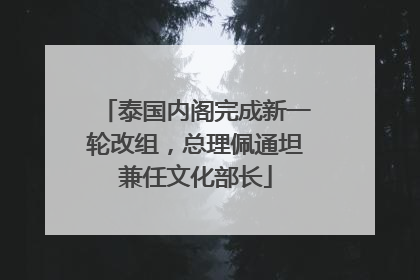 泰国内阁完成新一轮改组，总理佩通坦兼任文化部长