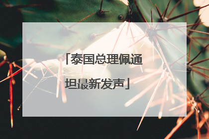 泰国总理佩通坦最新发声