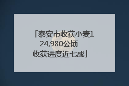 泰安市收获小麦124,980公顷 收获进度近七成