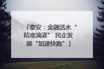 泰安：金融活水“精准滴灌” 民企发展“加速快跑”