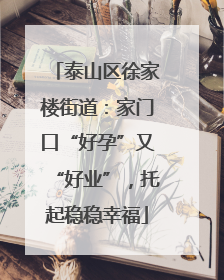 泰山区徐家楼街道：家门口“好孕”又“好业”，托起稳稳幸福