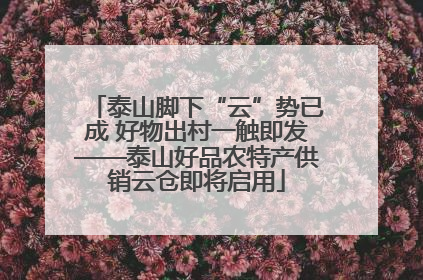 泰山脚下“云”势已成 好物出村一触即发——泰山好品农特产供销云仓即将启用
