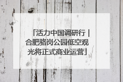 活力中国调研行｜合肥骆岗公园低空观光将正式商业运营