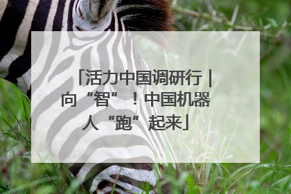 活力中国调研行｜向“智”！中国机器人“跑”起来