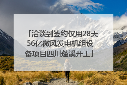 洽谈到签约仅用28天 56亿微风发电机组设备项目四川蓬溪开工