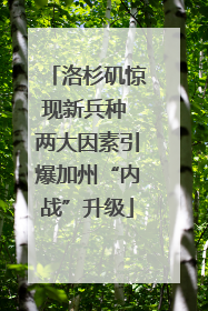 洛杉矶惊现新兵种 两大因素引爆加州“内战”升级
