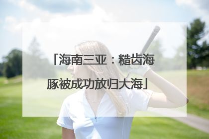 海南三亚：糙齿海豚被成功放归大海