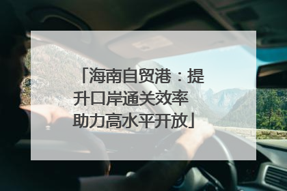海南自贸港：提升口岸通关效率 助力高水平开放