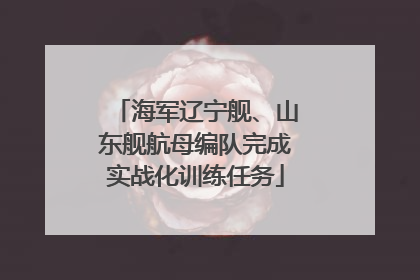 海军辽宁舰、山东舰航母编队完成实战化训练任务