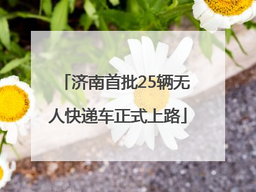 济南首批25辆无人快递车正式上路