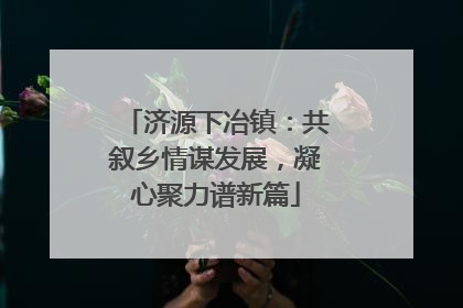 济源下冶镇：共叙乡情谋发展，凝心聚力谱新篇