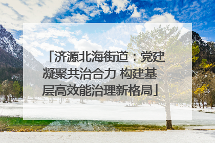济源北海街道：党建凝聚共治合力 构建基层高效能治理新格局