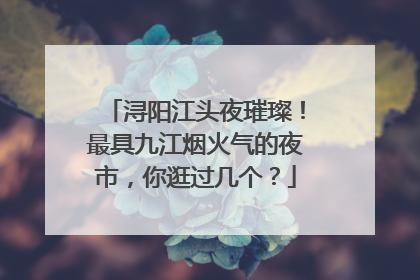 浔阳江头夜璀璨！最具九江烟火气的夜市，你逛过几个？