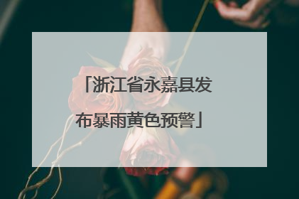 浙江省永嘉县发布暴雨黄色预警