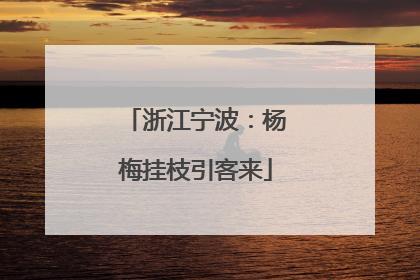 浙江宁波：杨梅挂枝引客来