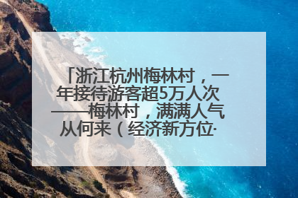 浙江杭州梅林村，一年接待游客超5万人次——梅林村，满满人气从何来（经济新方位·农村消费观察）
