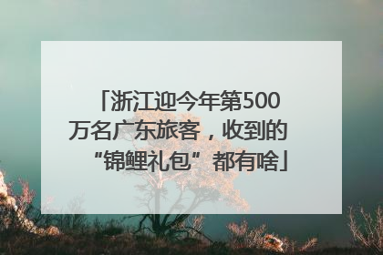 浙江迎今年第500万名广东旅客，收到的“锦鲤礼包”都有啥