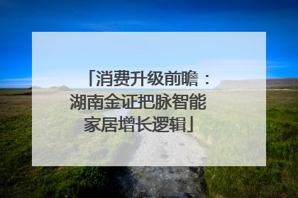 消费升级前瞻：湖南金证把脉智能家居增长逻辑
