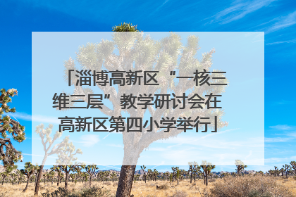淄博高新区“一核三维三层”教学研讨会在高新区第四小学举行