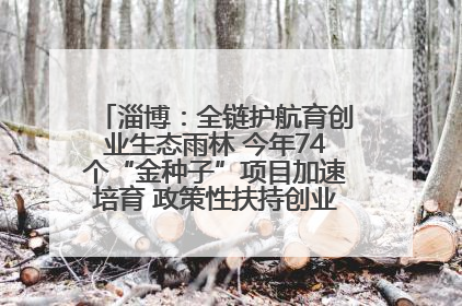 淄博：全链护航育创业生态雨林 今年74个“金种子”项目加速培育 政策性扶持创业9754人