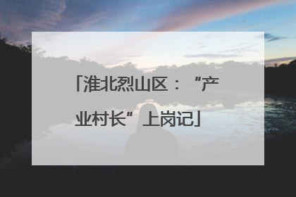 淮北烈山区：“产业村长”上岗记
