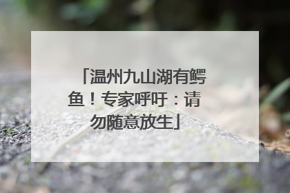 温州九山湖有鳄鱼！专家呼吁：请勿随意放生