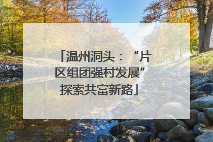 温州洞头：“片区组团强村发展”探索共富新路