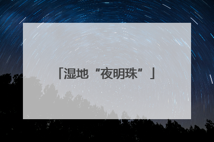 湿地“夜明珠”