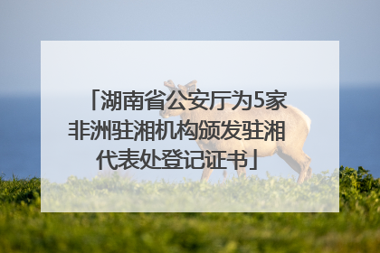 湖南省公安厅为5家非洲驻湘机构颁发驻湘代表处登记证书