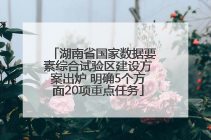 湖南省国家数据要素综合试验区建设方案出炉 明确5个方面20项重点任务