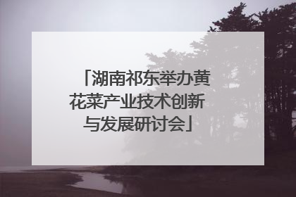 湖南祁东举办黄花菜产业技术创新与发展研讨会