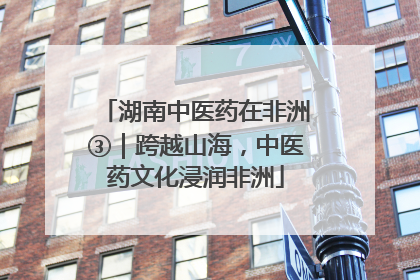 湖南中医药在非洲③｜跨越山海，中医药文化浸润非洲