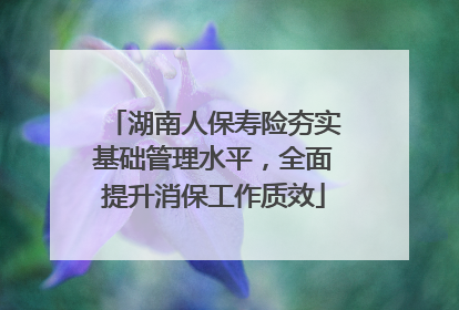 湖南人保寿险夯实基础管理水平，全面提升消保工作质效