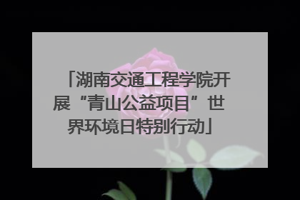 湖南交通工程学院开展“青山公益项目”世界环境日特别行动