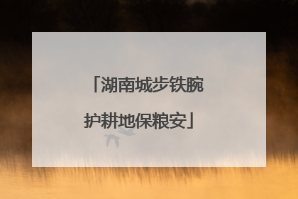 湖南城步铁腕护耕地保粮安