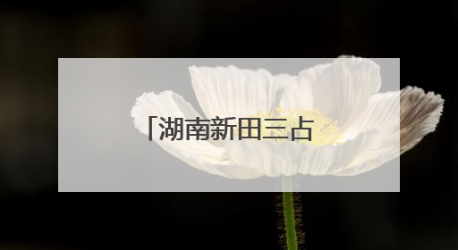 湖南新田三占塘村金银花产业兴旺促振兴