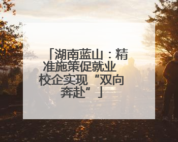 湖南蓝山：精准施策促就业 校企实现“双向奔赴”