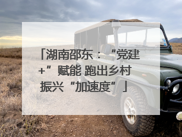 湖南邵东：“党建+”赋能 跑出乡村振兴“加速度”