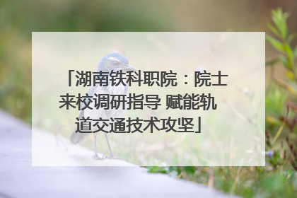 湖南铁科职院：院士来校调研指导 赋能轨道交通技术攻坚
