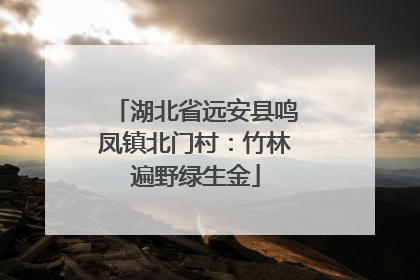 湖北省远安县鸣凤镇北门村：竹林遍野绿生金
