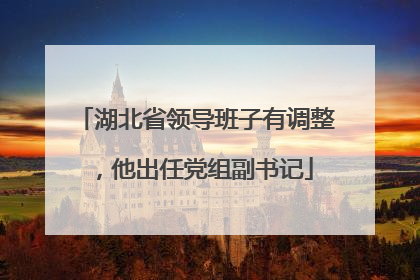 湖北省领导班子有调整，他出任党组副书记