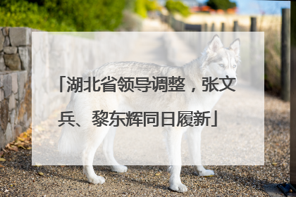 湖北省领导调整，张文兵、黎东辉同日履新