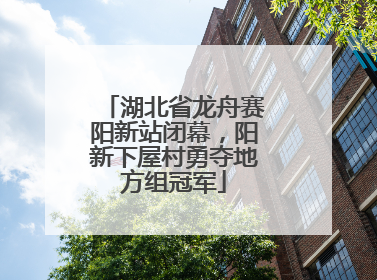 湖北省龙舟赛阳新站闭幕，阳新下屋村勇夺地方组冠军