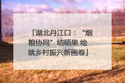 湖北丹江口：“烟粮协同”结硕果 绘就乡村振兴新画卷