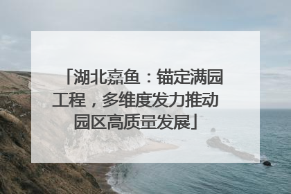 湖北嘉鱼：锚定满园工程，多维度发力推动园区高质量发展