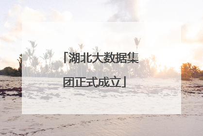 湖北大数据集团正式成立