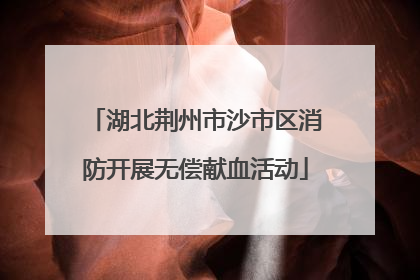 湖北荆州市沙市区消防开展无偿献血活动