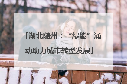 湖北随州：“绿能”涌动助力城市转型发展