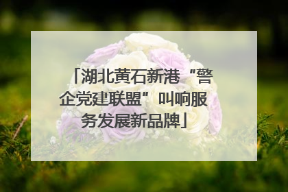 湖北黄石新港“警企党建联盟”叫响服务发展新品牌