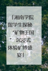 湘南学院留学生探秘“矿物王国” 沉浸式体验矿博盛宴